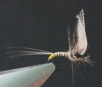 Wally wing peacock quill